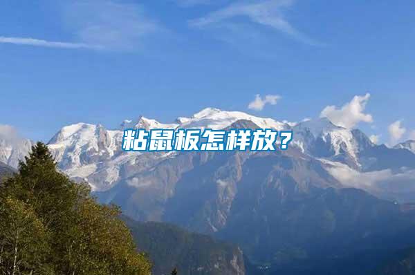 粘鼠板怎樣放？