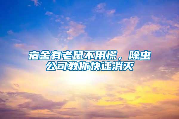 宿舍有老鼠不用慌，除蟲公司教你快速消滅