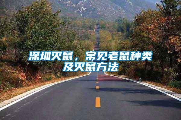 深圳滅鼠，常見(jiàn)老鼠種類及滅鼠方法