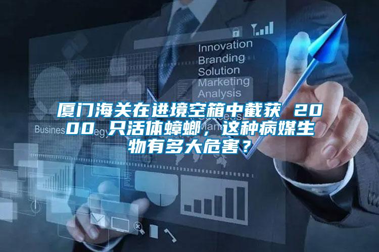廈門海關(guān)在進境空箱中截獲 2000 只活體蟑螂，這種病媒生物有多大危害？
