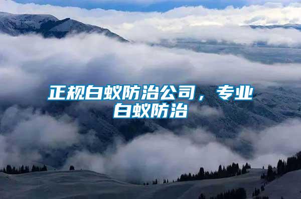 正規(guī)白蟻防治公司，專業(yè)白蟻防治