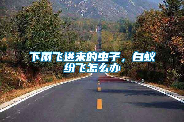 下雨飛進(jìn)來的蟲子，白蟻紛飛怎么辦