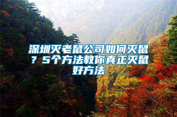 深圳滅老鼠公司如何滅鼠？5個(gè)方法教你真正滅鼠好方法