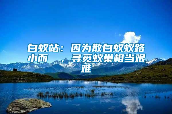 白蟻站：因為散白蟻蟻路小而骫骳，尋覓蟻巢相當(dāng)艱難