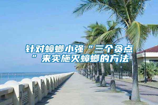 針對蟑螂小強(qiáng)“三個(gè)貪點(diǎn)”來實(shí)施滅蟑螂的方法