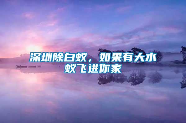 深圳除白蟻，如果有大水蟻飛進(jìn)你家