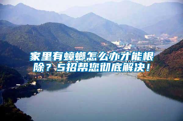 家里有蟑螂怎么辦才能根除？5招幫您徹底解決！