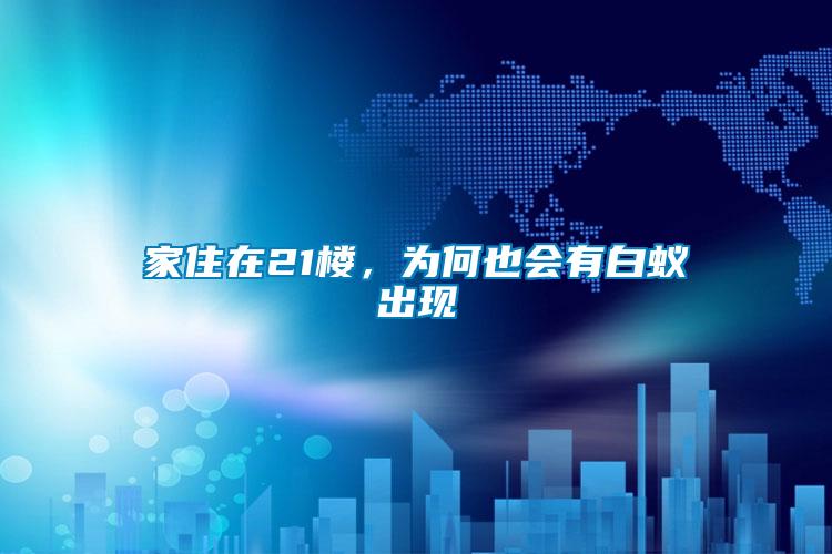 家住在21樓，為何也會(huì)有白蟻出現(xiàn)