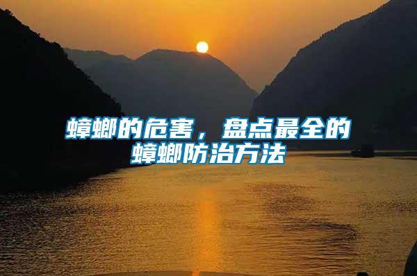 蟑螂的危害，盤點(diǎn)最全的蟑螂防治方法