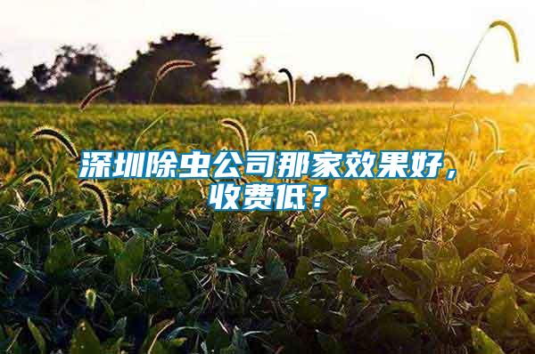深圳除蟲公司那家效果好，收費(fèi)低？