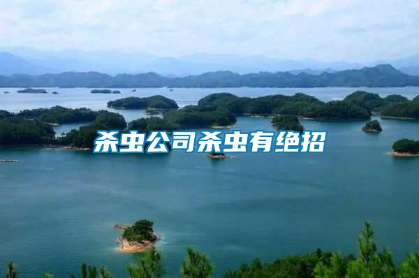 殺蟲(chóng)公司殺蟲(chóng)有絕招