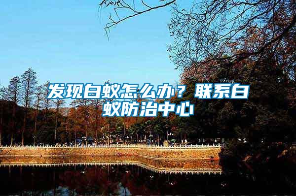 發(fā)現(xiàn)白蟻怎么辦？聯(lián)系白蟻防治中心