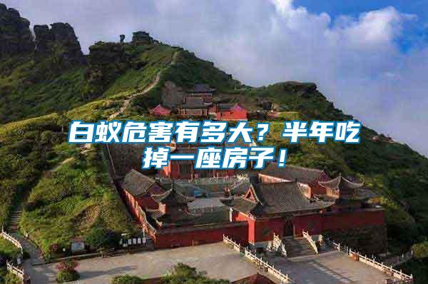 白蟻危害有多大？半年吃掉一座房子！