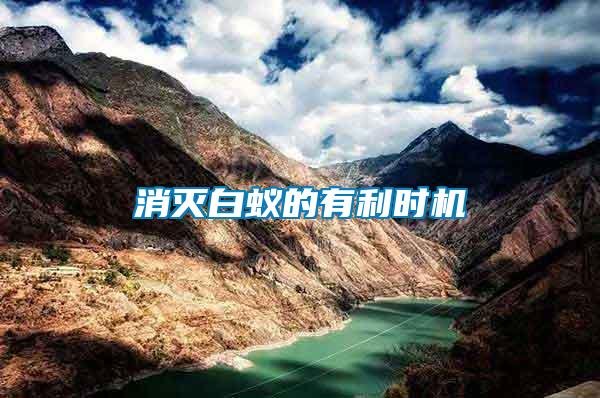 消滅白蟻的有利時機(jī)