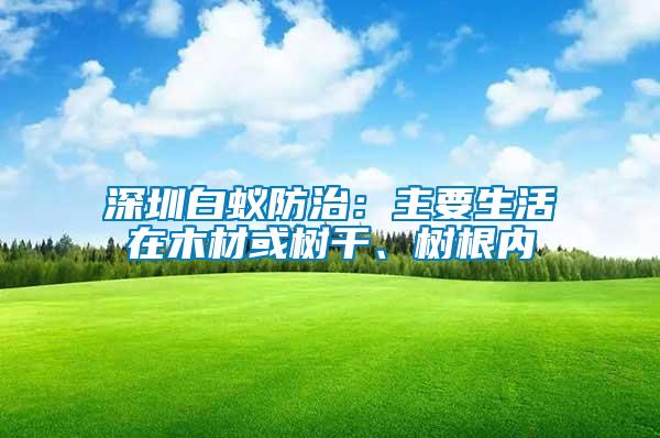 深圳白蟻防治：主要生活在木材或樹干、樹根內(nèi)