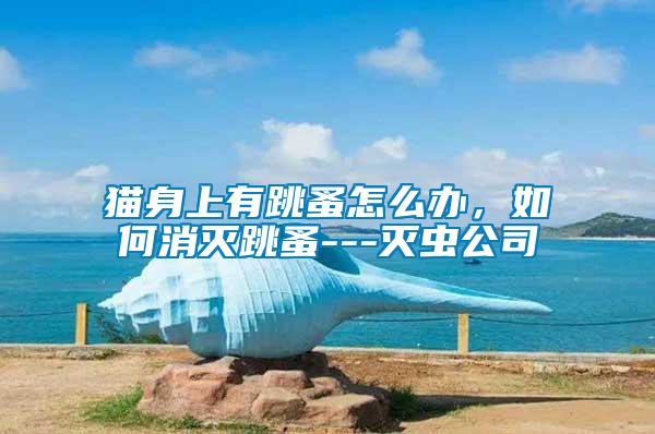 貓身上有跳蚤怎么辦，如何消滅跳蚤---滅蟲公司