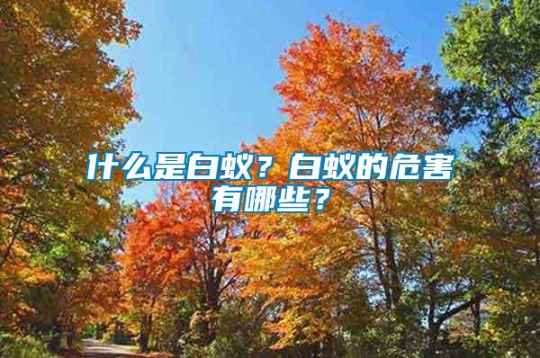 什么是白蟻？白蟻的危害有哪些？