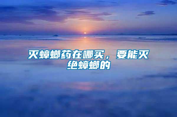 滅蟑螂藥在哪買，要能滅絕蟑螂的