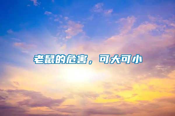 老鼠的危害，可大可小