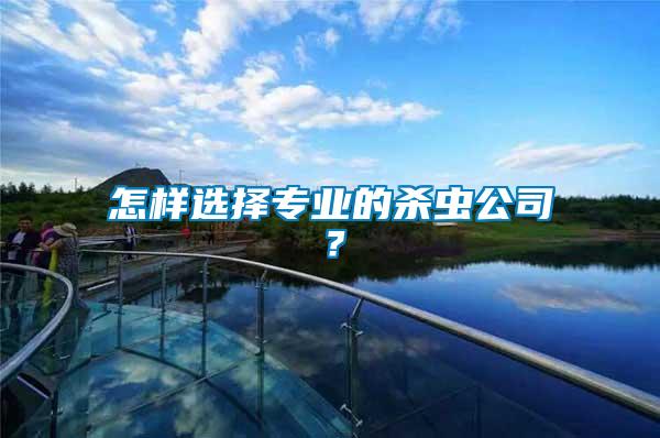 怎樣選擇專業(yè)的殺蟲公司？