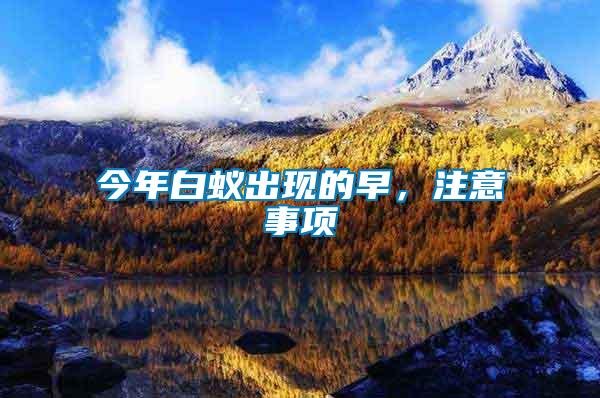 今年白蟻出現(xiàn)的早，注意事項