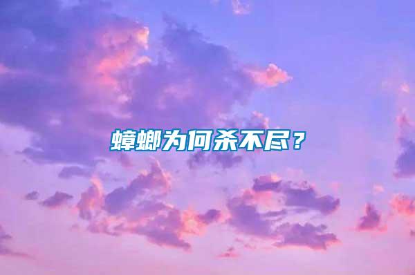 蟑螂為何殺不盡？