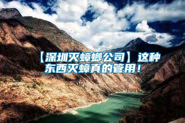 【深圳滅蟑螂公司】這種東西滅蟑真的管用！