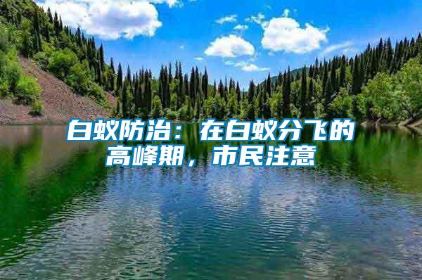 白蟻防治：在白蟻分飛的高峰期，市民注意