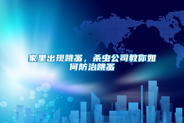 家里出現(xiàn)跳蚤，殺蟲公司教你如何防治跳蚤
