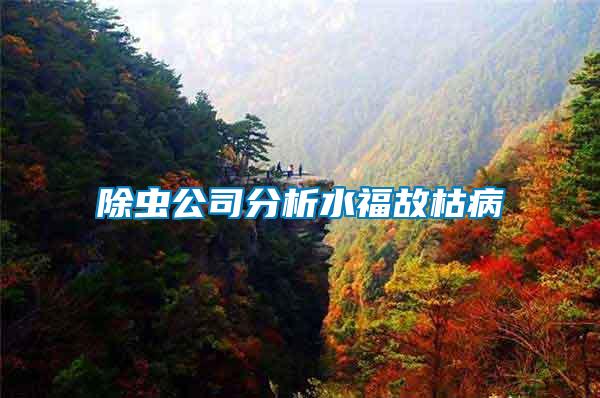 除蟲(chóng)公司分析水福故枯病