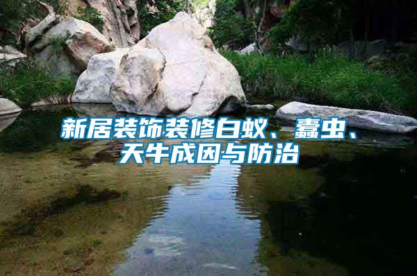 新居裝飾裝修白蟻、蠹蟲、天牛成因與防治