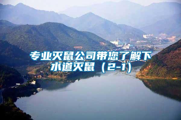 專(zhuān)業(yè)滅鼠公司帶您了解下水道滅鼠（2-1）