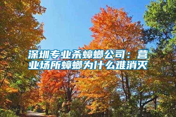 深圳專(zhuān)業(yè)殺蟑螂公司：營(yíng)業(yè)場(chǎng)所蟑螂為什么難消滅