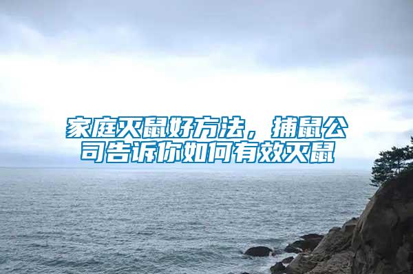 家庭滅鼠好方法，捕鼠公司告訴你如何有效滅鼠
