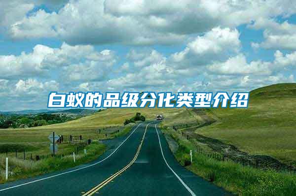 白蟻的品級(jí)分化類(lèi)型介紹