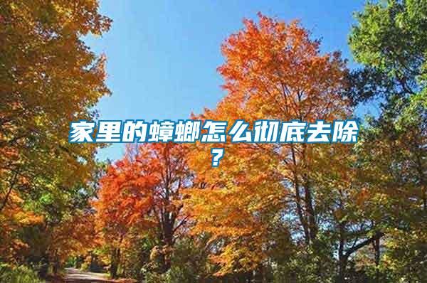 家里的蟑螂怎么徹底去除？