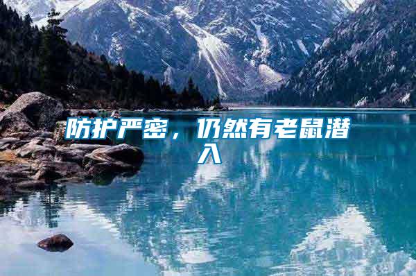 防護嚴密，仍然有老鼠潛入