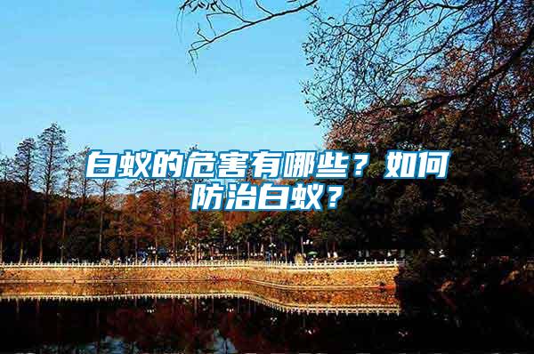 白蟻的危害有哪些？如何防治白蟻？