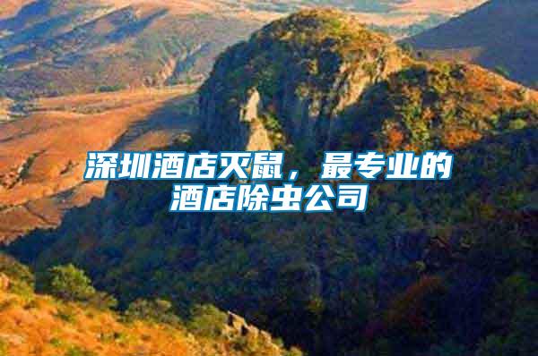 深圳酒店滅鼠，最專業(yè)的酒店除蟲公司