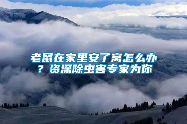 老鼠在家里安了窩怎么辦？資深除蟲(chóng)害專家為你