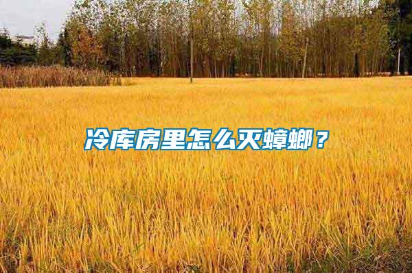 冷庫(kù)房里怎么滅蟑螂？