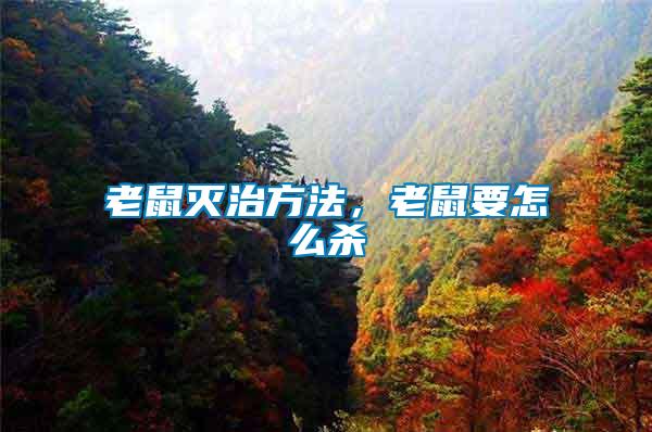 老鼠滅治方法，老鼠要怎么殺