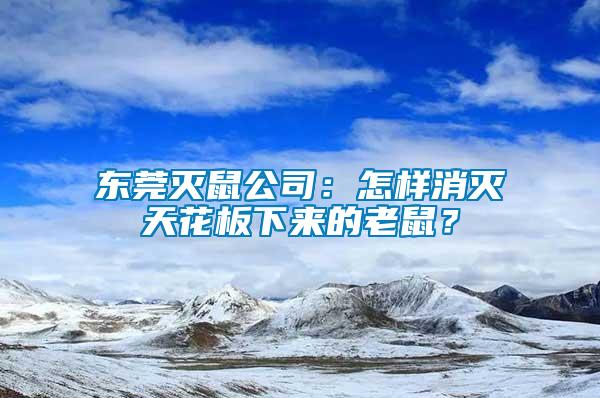 東莞滅鼠公司：怎樣消滅天花板下來(lái)的老鼠？