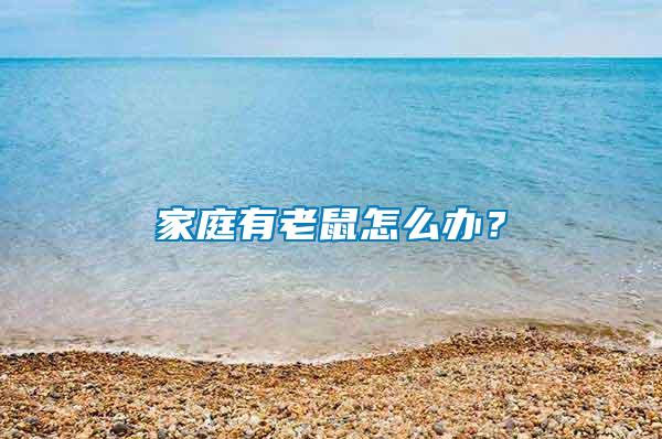 家庭有老鼠怎么辦？