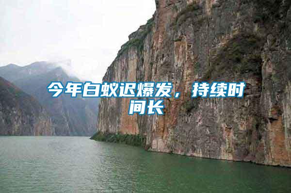 今年白蟻遲爆發(fā)，持續(xù)時(shí)間長
