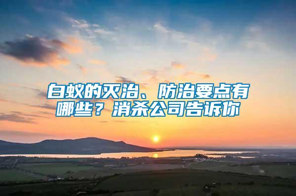 白蟻的滅治、防治要點(diǎn)有哪些？消殺公司告訴你