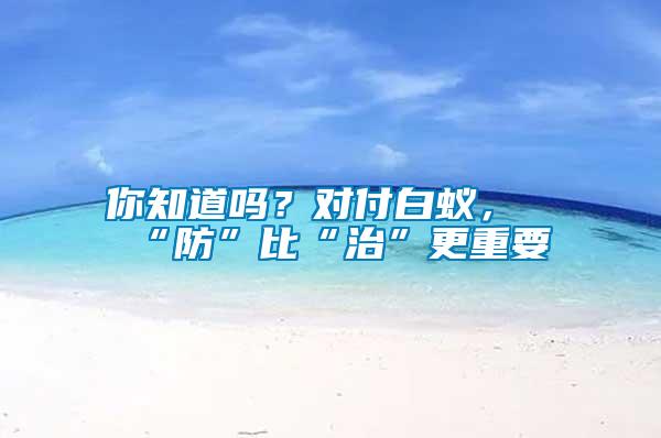 你知道嗎？對(duì)付白蟻，“防”比“治”更重要