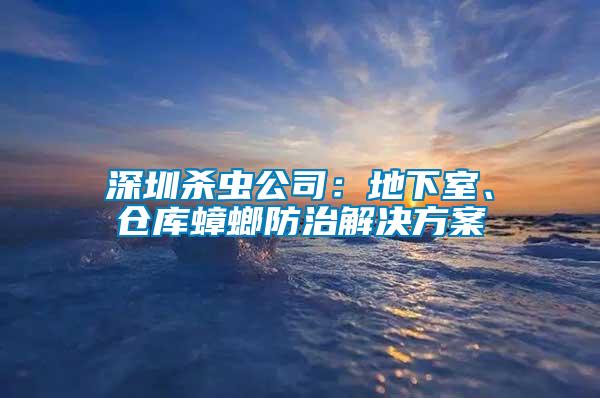 深圳殺蟲公司：地下室、倉(cāng)庫(kù)蟑螂防治解決方案