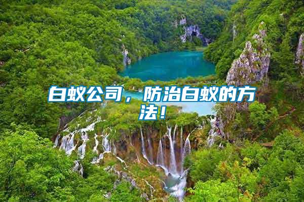 白蟻公司，防治白蟻的方法！