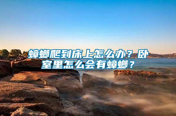 蟑螂爬到床上怎么辦？臥室里怎么會有蟑螂？